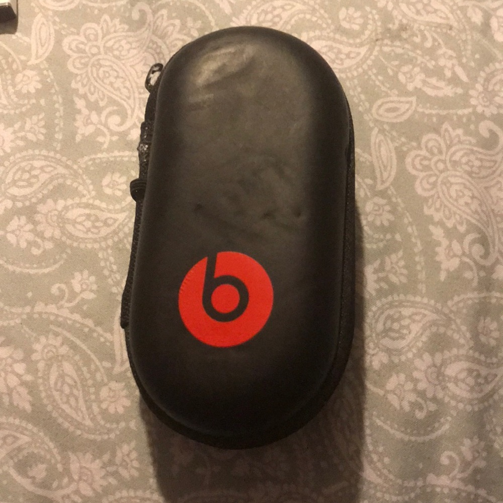 Earbud case or key holder